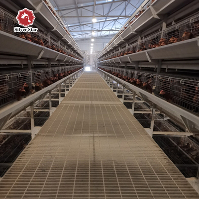 Meat Chicken Farm Used Automatic Broiler Chicken Cage 272 Birds