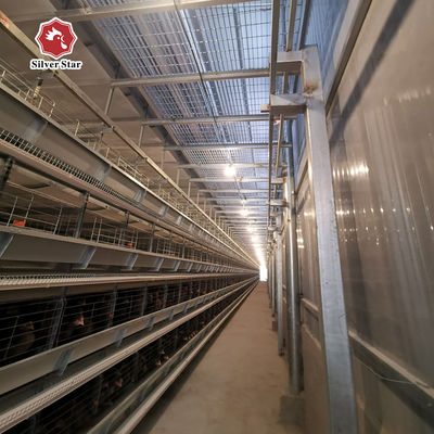 Solución de proyecto de jaula de batería tipo H llave en mano para granjas de pollos de más de 50,000