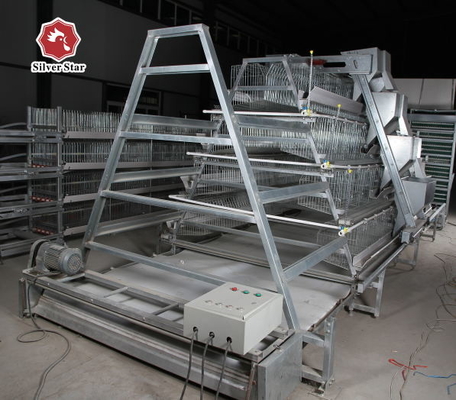 A Type Baby Layer Chicken Brooder Cage Automatic