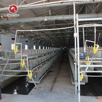 Q235 Chicken Cages Poultry Farming Equipment 3-6mm Thickness