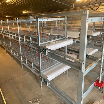 Full Automatic Broiler Cage With Poultry Drinking System