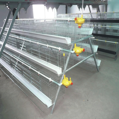 120 Birds Capacity Poultry Battery Chicken Eggs Cage New Design